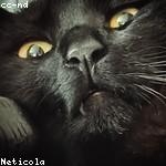 Keshawn Baumbach Profile Picture