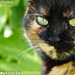 Lucinda Schowalter Profile Picture